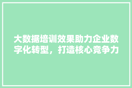 大数据培训效果助力企业数字化转型，打造核心竞争力