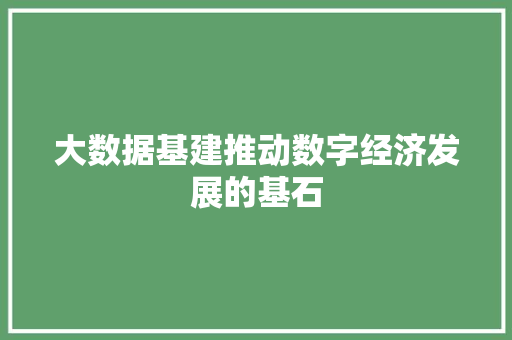 大数据基建推动数字经济发展的基石