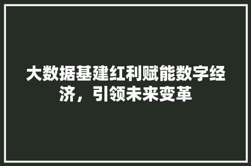 大数据基建红利赋能数字经济，引领未来变革