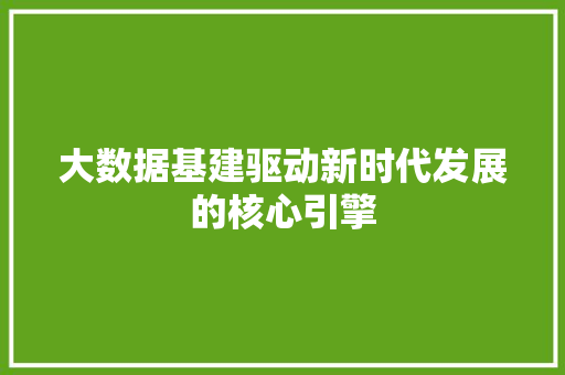 大数据基建驱动新时代发展的核心引擎