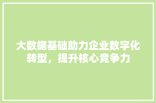 大数据基础助力企业数字化转型，提升核心竞争力