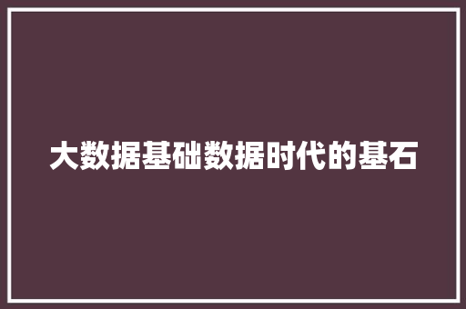 大数据基础数据时代的基石