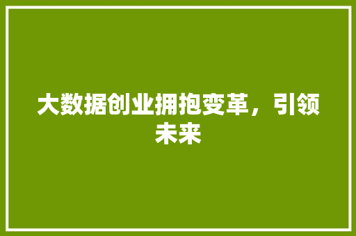 大数据创业拥抱变革，引领未来