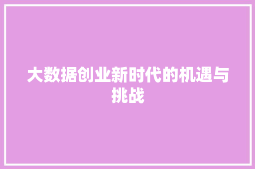 大数据创业新时代的机遇与挑战