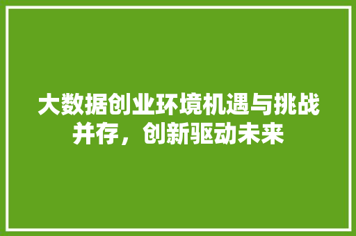 大数据创业环境机遇与挑战并存，创新驱动未来