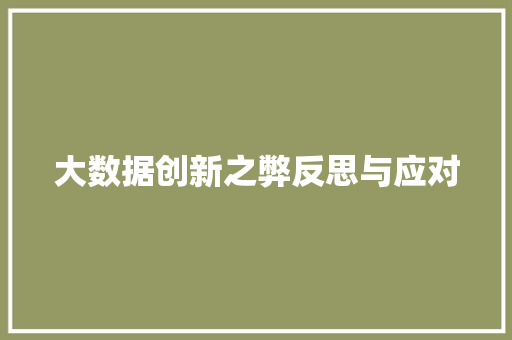 大数据创新之弊反思与应对