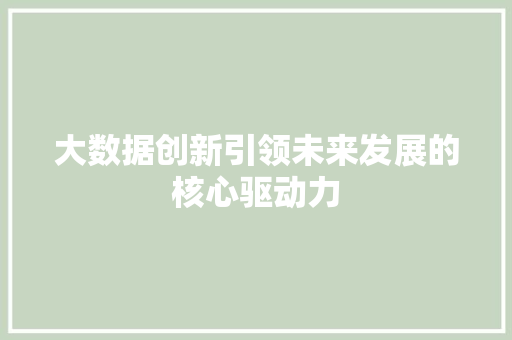 大数据创新引领未来发展的核心驱动力