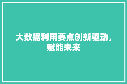 大数据利用要点创新驱动，赋能未来