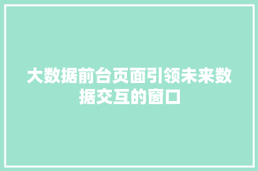 大数据前台页面引领未来数据交互的窗口