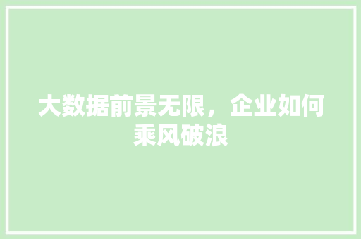 大数据前景无限，企业如何乘风破浪