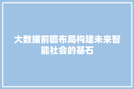 大数据前瞻布局构建未来智能社会的基石