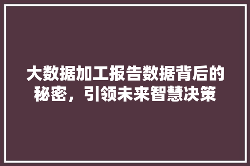 大数据加工报告数据背后的秘密，引领未来智慧决策