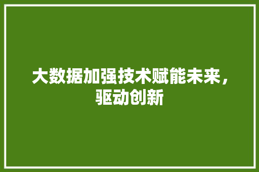 大数据加强技术赋能未来，驱动创新