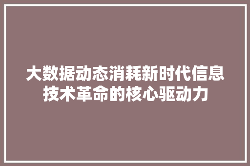 大数据动态消耗新时代信息技术革命的核心驱动力