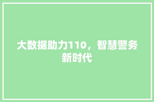大数据助力110，智慧警务新时代