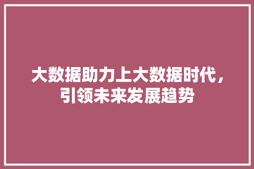 大数据助力上大数据时代，引领未来发展趋势