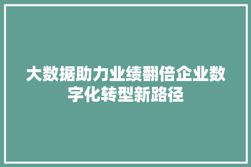 大数据助力业绩翻倍企业数字化转型新路径