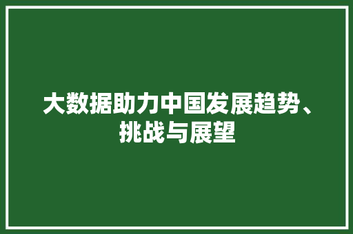 大数据助力中国发展趋势、挑战与展望