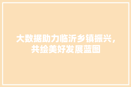 大数据助力临沂乡镇振兴，共绘美好发展蓝图