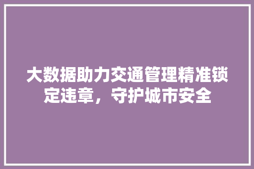 大数据助力交通管理精准锁定违章，守护城市安全 电脑配置