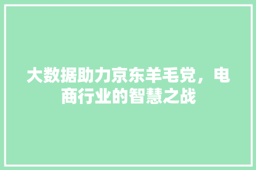 大数据助力京东羊毛党，电商行业的智慧之战