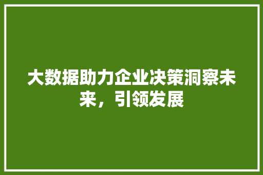 大数据助力企业决策洞察未来,引领发展 大数据助力企业决策洞察未来,引领发展