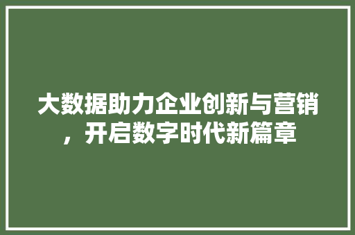 大数据助力企业创新与营销,开启数字时代新篇章 大数据助力企业创新与营销,开启数字时代新篇章