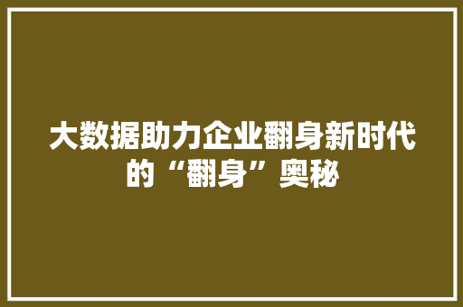 大数据助力企业翻身新时代的“翻身”奥秘 大数据助力企业翻身新时代的“翻身”奥秘