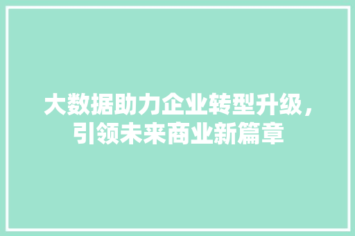 大数据助力企业转型升级，引领未来商业新篇章