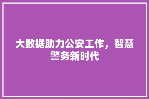 大数据助力公安工作，智慧警务新时代