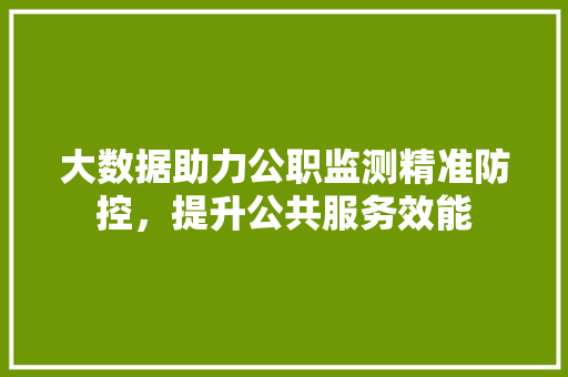 大数据助力公职监测精准防控，提升公共服务效能