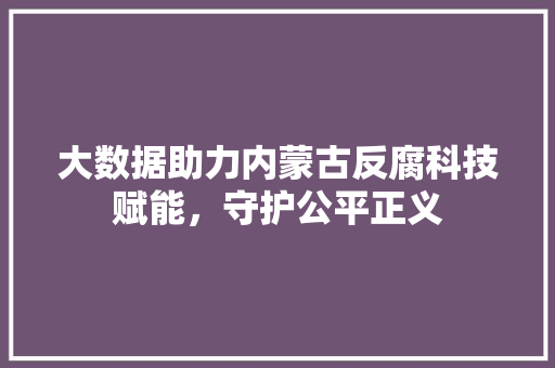 大数据助力内蒙古反腐科技赋能，守护公平正义