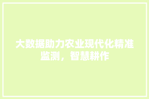 大数据助力农业现代化精准监测，智慧耕作