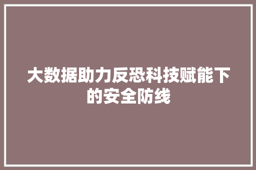 大数据助力反恐科技赋能下的安全防线