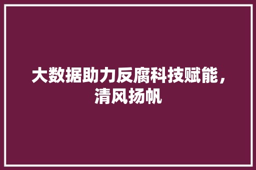 大数据助力反腐科技赋能，清风扬帆