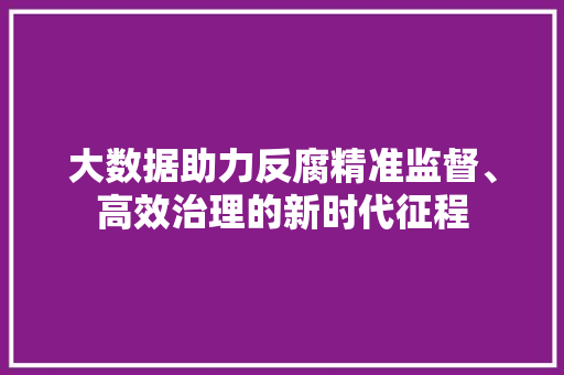 大数据助力反腐精准监督、高效治理的新时代征程
