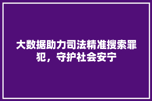 大数据助力司法精准搜索罪犯,守护社会安宁 大数据助力司法精准搜索罪犯,守护社会安宁