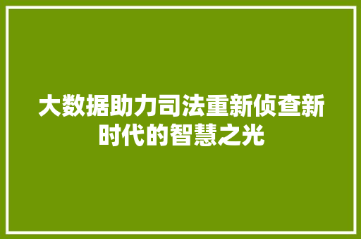 大数据助力司法重新侦查新时代的智慧之光