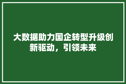 大数据助力国企转型升级创新驱动，引领未来