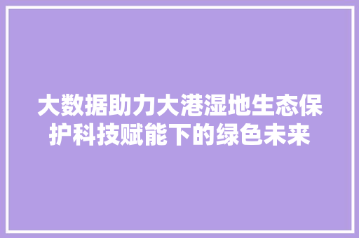 大数据助力大港湿地生态保护科技赋能下的绿色未来