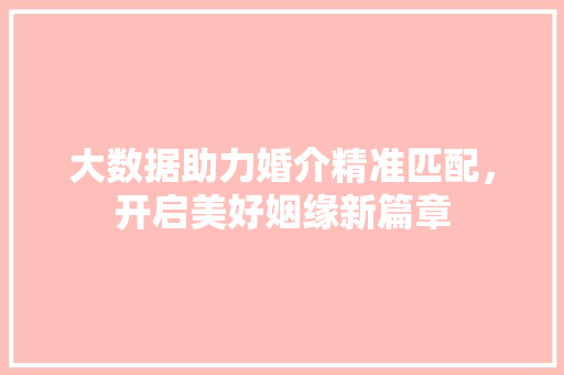 大数据助力婚介精准匹配，开启美好姻缘新篇章