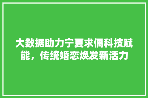 大数据助力宁夏求偶科技赋能，传统婚恋焕发新活力