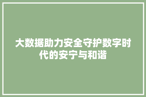 大数据助力安全守护数字时代的安宁与和谐