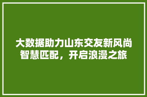 大数据助力山东交友新风尚智慧匹配，开启浪漫之旅