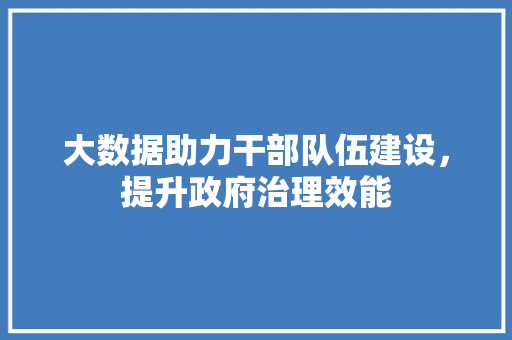 大数据助力干部队伍建设,提升政府治理效能 大数据助力干部队伍建设,提升政府治理效能