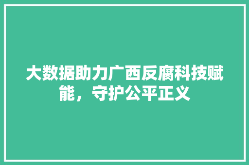 大数据助力广西反腐科技赋能，守护公平正义