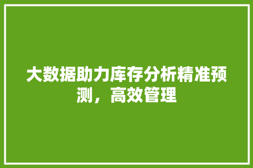 大数据助力库存分析精准预测，高效管理