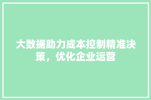 大数据助力成本控制精准决策，优化企业运营