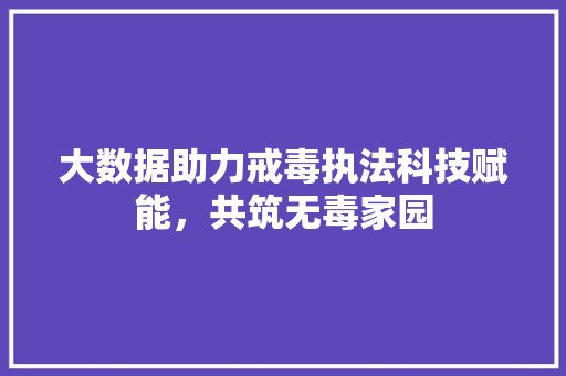 大数据助力戒毒执法科技赋能，共筑无毒家园
