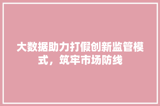 大数据助力打假创新监管模式,筑牢市场防线 大数据助力打假创新监管模式,筑牢市场防线